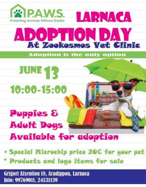 Cyprus : Adoption Day @ Zookosmos Veterinary Clinic