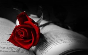 Cyprus : Day of Books and Roses