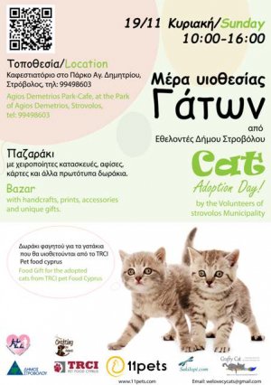 Cyprus : Cat Adoption Day