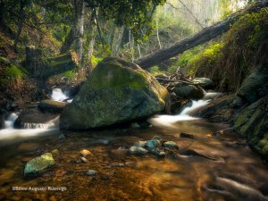 Cyprus : Outdoor Photography Workshop in Lemythou village