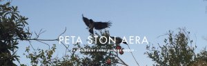 Cyprus : Peta Ston Aera