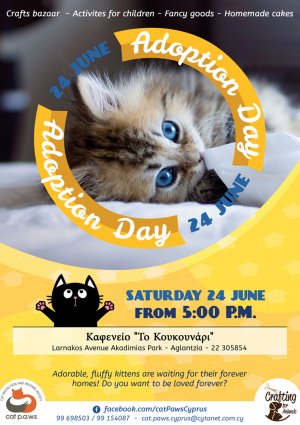 Κύπρος : Μέρα υιοθεσίας γάτων και παζαράκι