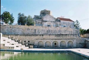 Cyprus : Tours and Traces - Lysos