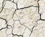 Anthology of Cracks