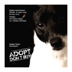Cyprus : "Adopt Don't Buy" Photo Exhibition