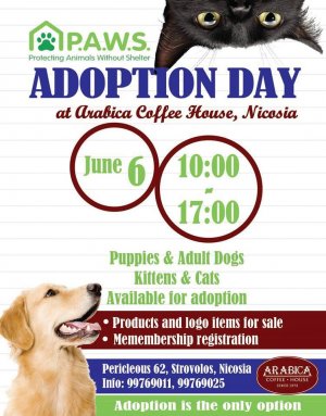 Cyprus : P.A.W.S Adoption Day