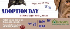 Cyprus : P.A.W.S. Adoption Day