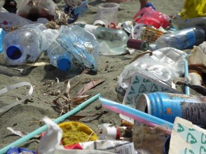 Cyprus : Marine Litter: an educational and creative workshop