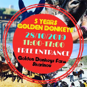 Κύπρος : 5 Χρόνια Golden Donkeys