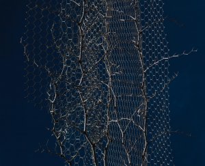 Cyprus : Hara Savvidou - Meshing around