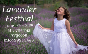 Cyprus : 7th Lavender Festival