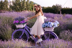 Cyprus : 8th Lavender Festival