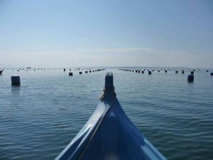 Cyprus : Blue Growth and the Coast