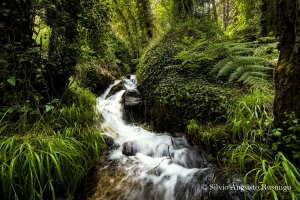 Cyprus : Outdoor Photography Workshop - Treis Elies