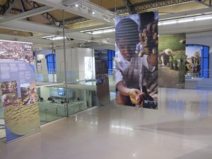 Cyprus : Water at the heart of science