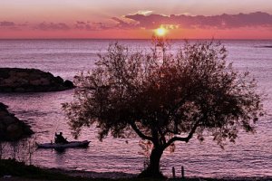 Κύπρος : Στέλιος Μιχαηλίδης - Φωτογραφικές Πινελιές