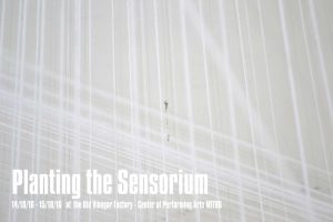 Cyprus : Planting the Sensorium