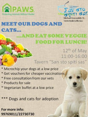 Cyprus : Meet our dogs and cats...and have some veggie food for lunch