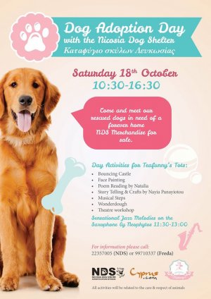 Cyprus : Dog Adoption Day