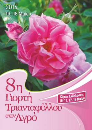 Cyprus : 8th Agros Rose Festival