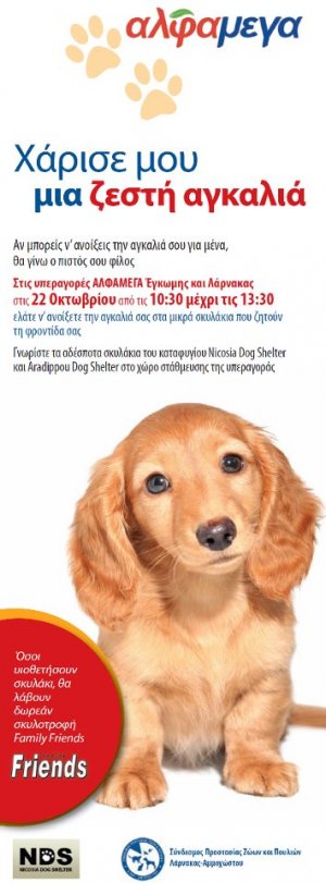 Cyprus : Give me a hug - Adoption Day at ALPHAMEGA
