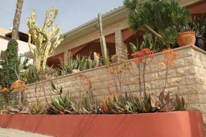 Cyprus : 6th Annual Exhibition of Cacti and other Succulents