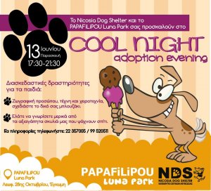 Κύπρος : Cool Night - Adoption Evening