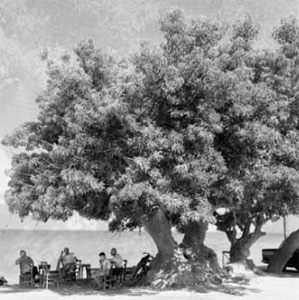 Κύπρος : 1962 Μια Φωτογραφική Καταγραφή της Κύπρου