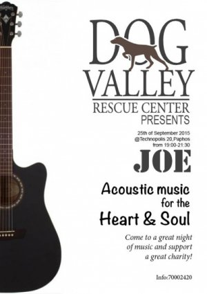 Cyprus : Music night for the support of the Dog Valley Rescue Center