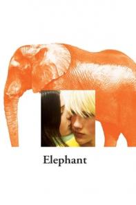 Cyprus : Elephant