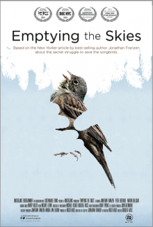 Cyprus : Emptying the Skies