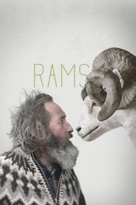 Cyprus : Rams (Hrútar)