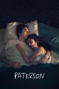 Κύπρος : Paterson