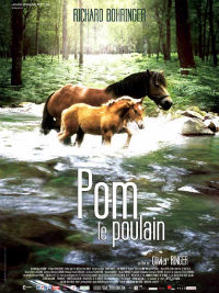 Cyprus : Pom, le poulain