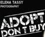 "Adopt Don't Buy" Photo Exhibition