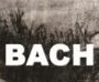 Bach Cantatas