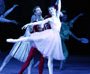 Bolshoi Theatre Ballet Stars