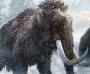 Explore the Ice Age Exhibition