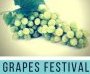 The Grapes Festival