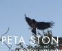 Peta Ston Aera