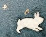 Rabbits running for reunification