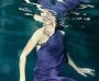 Underwater Photography Exhibition
