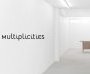 Multiplicities Exhibition