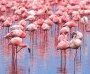 Wetlands of Cyprus