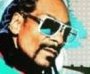 Snoop Dogg as Dj Snoopadelic