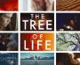 The Tree of Life