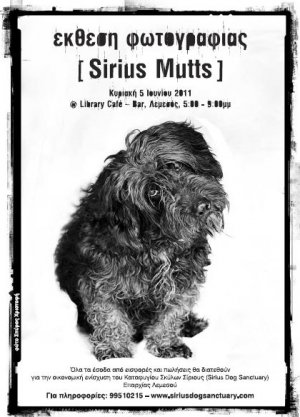 Cyprus : Sirius Mutts | Fundraising Photo Exhibition | by Spiro Christofi