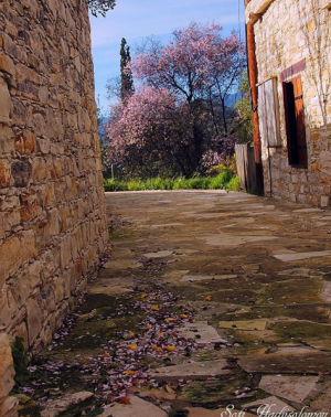 Κύπρος : Τα Πέριξ