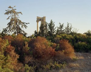 Κύπρος : Παρανοήσεις και Υποθέσεις: Αφηγήσεις