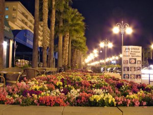 Finikoudes Promenade